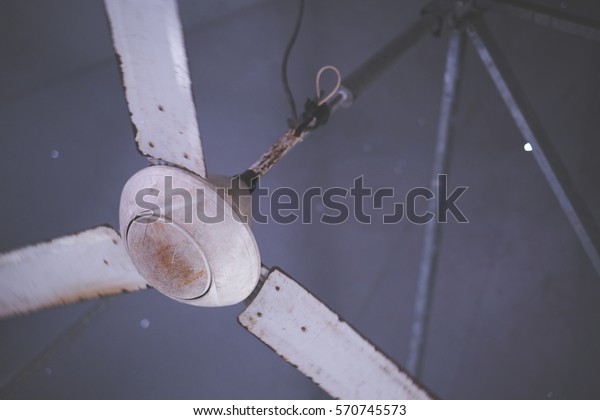 Electric Ceiling Fan Over Canopy On Stock Photo Edit Now