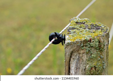 Electric Fence For Horses