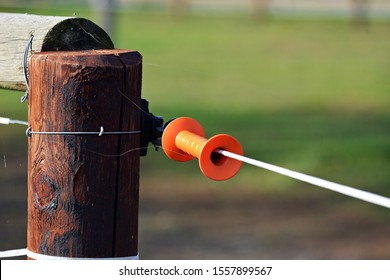 Electric Fence For Horses On Pasture