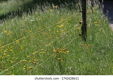 Electric Fencing Around Lovely Pasture With Farm