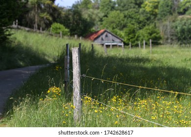 Electric Fencing Around Lovely Pasture With Farm