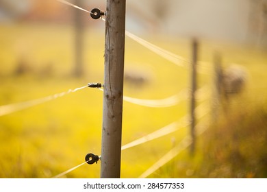 Electric Fencing Around Lovely Pasture With Farm Animals