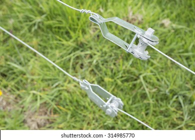 Electric Fencing Around Lovely Pasture With Farm Animals