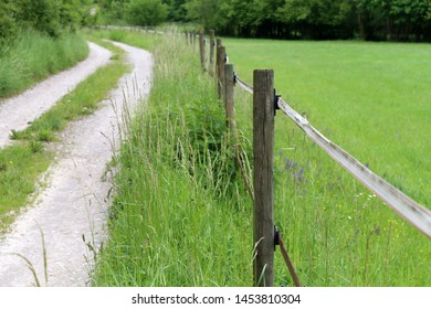 Electric Fencing Around Pasture With Farm Animals