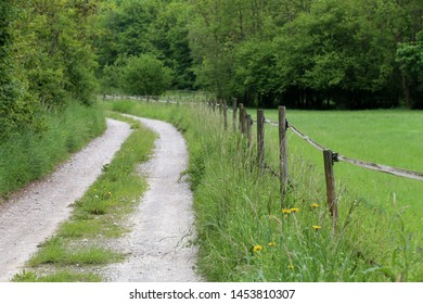 Electric Fencing Around Pasture With Farm Animals