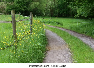 Electric Fencing Around Pasture With Farm Animals