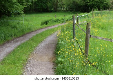 Electric Fencing Around Pasture With Farm Animals