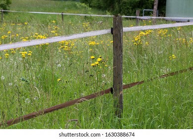 Electric Fencing Around Pasture With Farm Animals