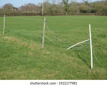 Electric Fencing Ribbon In A Horse Paddock