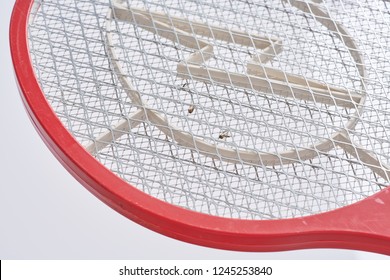 Electric Fly Swatter Mosquito Pet Insect Killer Bug Zapper Racket Battery Bat