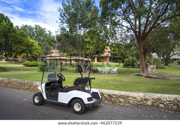 Electric Golf Cart in a\
park