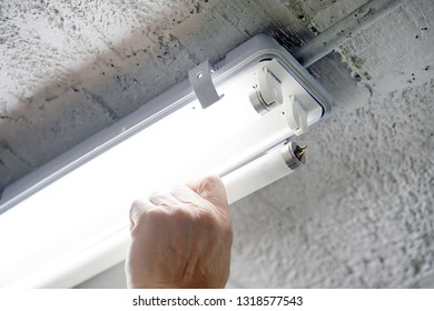 Electric hands changing ceiling fluorescent lamp. The concept of repair and service. - Shutterstock ID 1318577543