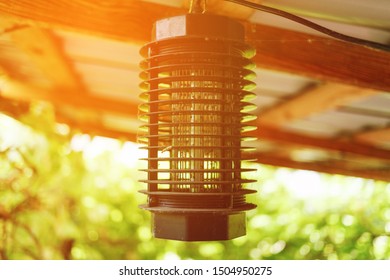 Electric Mosquito Trap In Sunlight Rays.