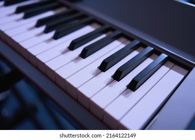 Electric Piano Isolated On White. Synthesizer.        