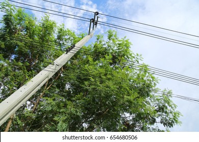 Electric Pole With Tree And Sky Behind, Electricity Post