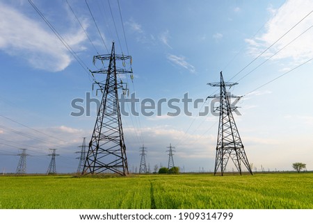 Electric poles in green wheat fields at daytime. Transportation of alternative and renewable electricity.