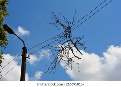 Electric Post Power Pole. Wire Breakage After Hurricane. Broken Power Line With Tree Branches. 