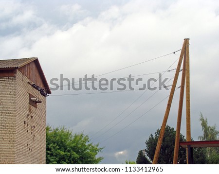 Electric power line input from pole to transformer shed                               