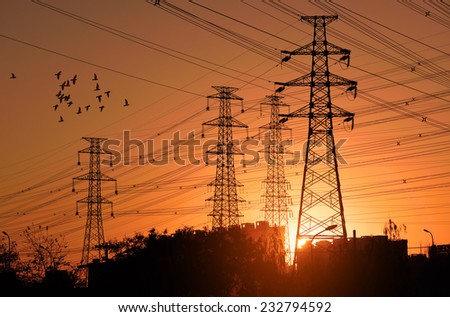Electric Power pylon with flock birds at Sunset.
