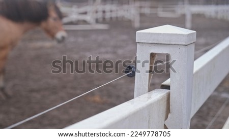 Electric Shepherd Fence Wire Around Horse Paddock Pasture