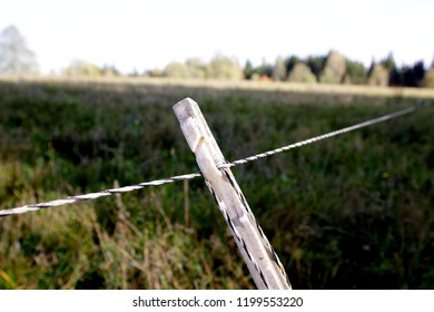 Electric Shepherd Wire In A Meadow