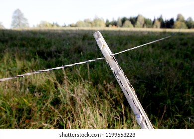 Electric Shepherd Wire In A Meadow