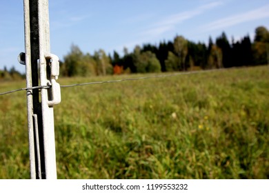 Electric Shepherd Wire In A Meadow