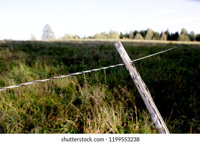 Electric Shepherd Wire In A Meadow