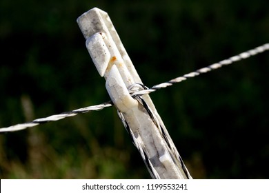 Electric Shepherd Wire In A Meadow