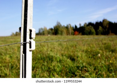 Electric Shepherd Wire In A Meadow