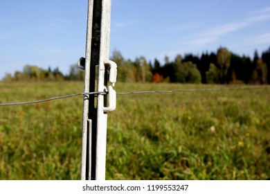 Electric Shepherd Wire In A Meadow