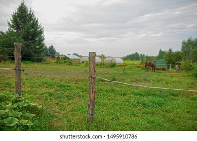 Electric Shepherd Wire In A Meadow