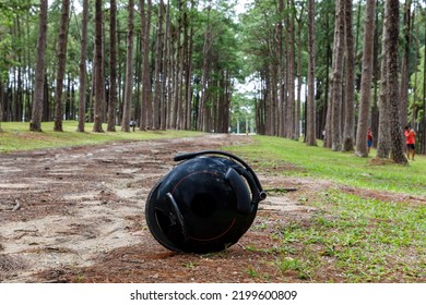 Electric Unicycle In The Pine Forest