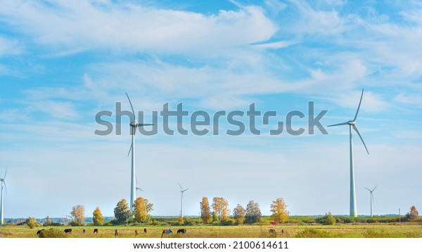 Electric wind farm, a\
renewable ecological energy source. Horse enclosure, pasture and\
wind turbines, unique view. Autumn landscape, beautiful and\
interesting\
perspective.