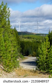 Electric Windmills in Forest Area