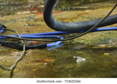 Electric Wire Exposed To Water