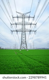 Electrical grid. A lot of high-voltage power line, transmission tower overhead line masts, high voltage pylons as power pylons on the fields