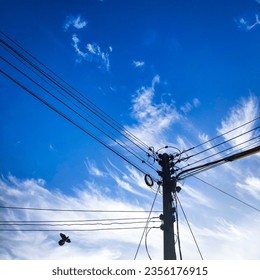 Electrical poles, street lights, wires, sky, clouds and birds. - Powered by Shutterstock