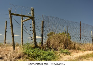 Electrical and razorblade fencing to help safeguard farmland