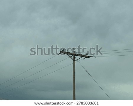 Electrical utility infrastructure with overhead power lines beneath gray cloudy sky in outdoor environment