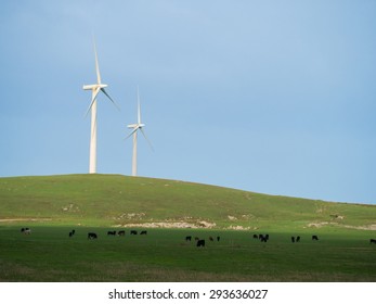 Electricity generating wind farm in Victoria Australia with cattle grazing in the foreground