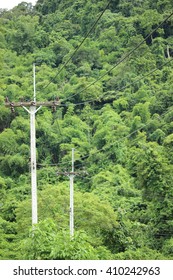 Electricity poles in forest - Shutterstock ID 410242963