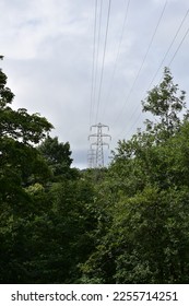 Electricity pylon surrounded by large trees and a cloudy sky background.  - Shutterstock ID 2255714251