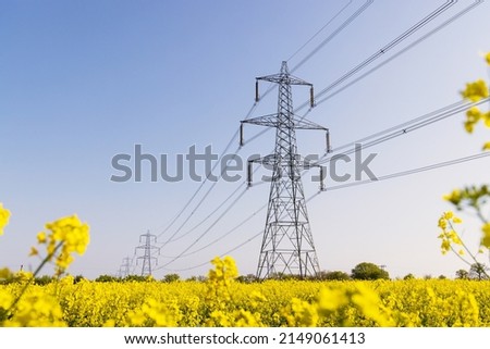 Electricity pylons in a field of rape seed flowers in full bloom on a sunny day. Hertfordshire, UK