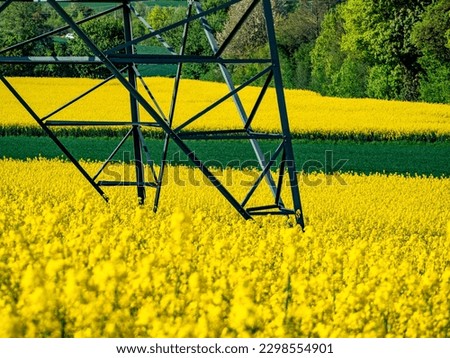 Electricity pylons and high voltage lines in rapeseed field
