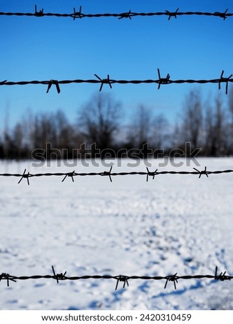 electrified fence on extermination camp. barbed wire