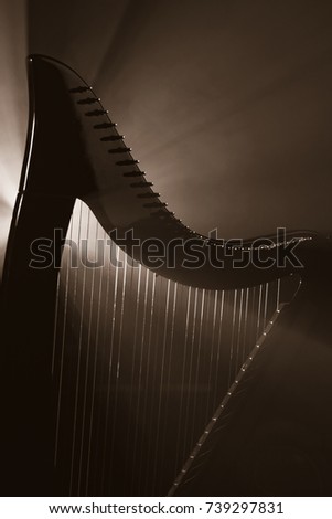 Electro harp in the rays of light