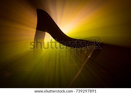 Electro harp in the rays of light