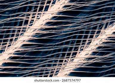Electron microscope view of bird feather at 500x magnification, revealing intricate barbules and interlocking filaments in stunning detail.