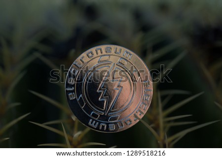 Electroneum ETN cryptocurrency physical coin placed on cactus plant between the spikes